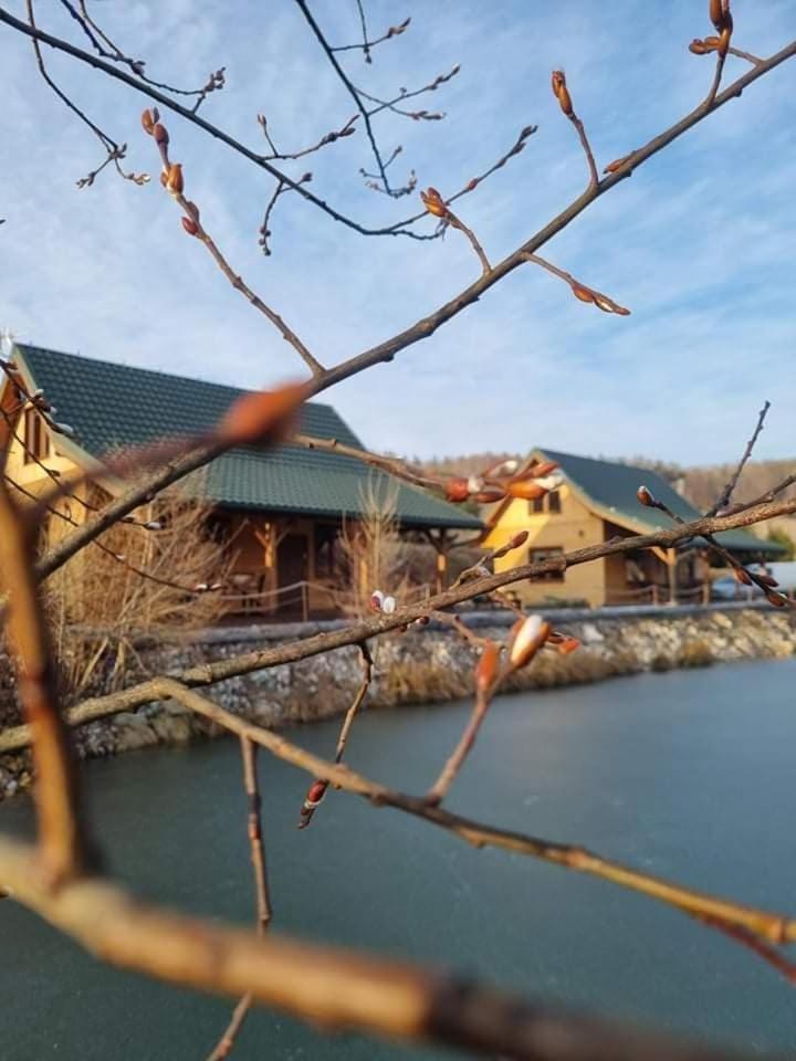 Holiday home Gorska Zatoka Stronie Slaskie